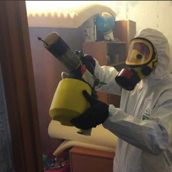 Уничтожение клопов в квартире. Межгорье